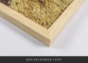houtkleurige lijst