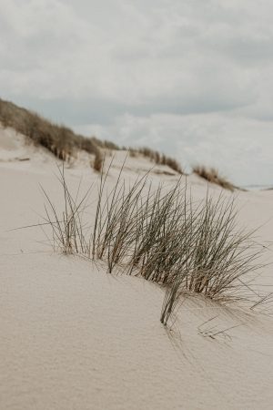 Strand en duinen